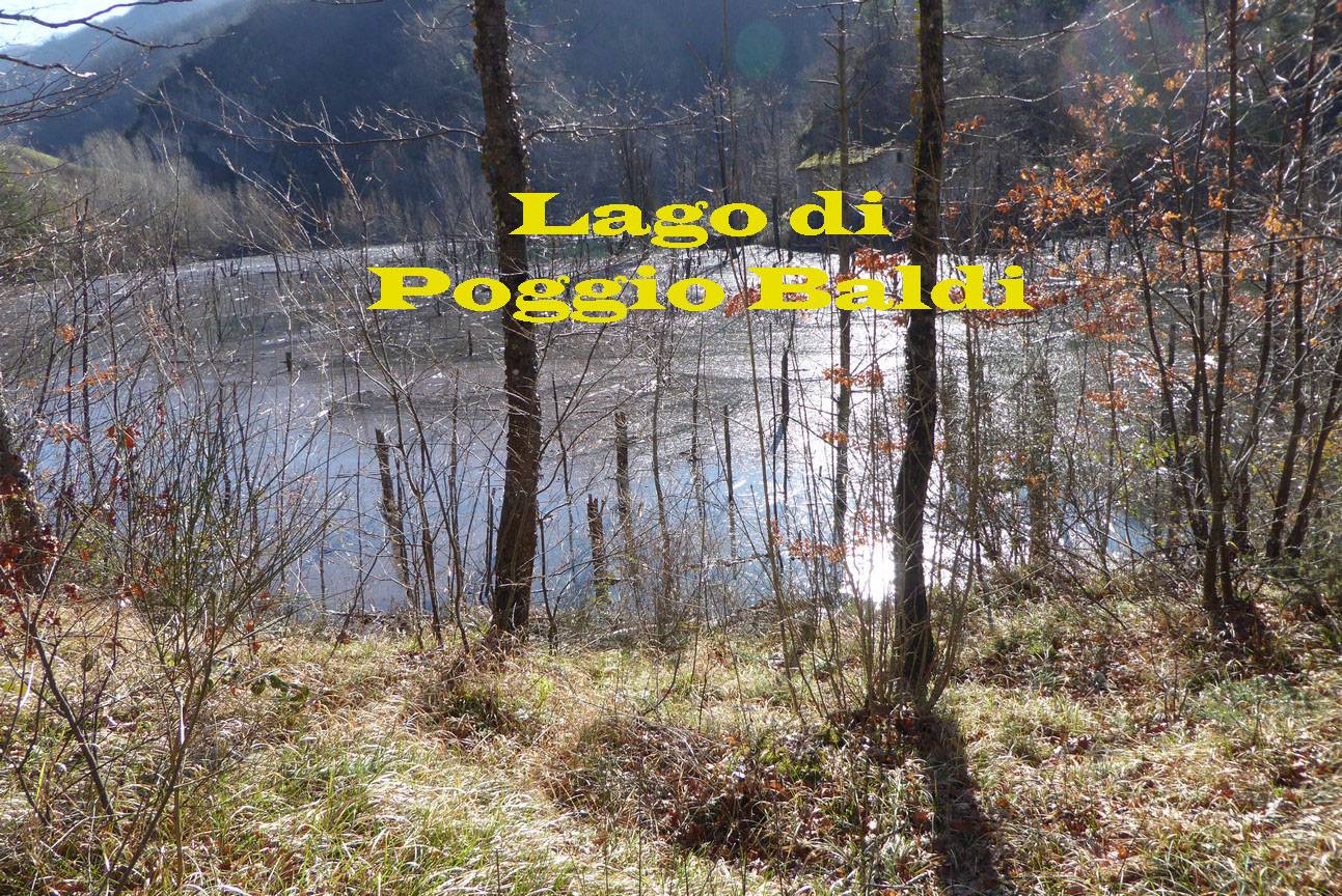 Lago Di Poggio Baldi Febbraio Lago Di Poggio Baldi Case S