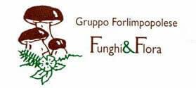 Gruppo Funghi e Flora